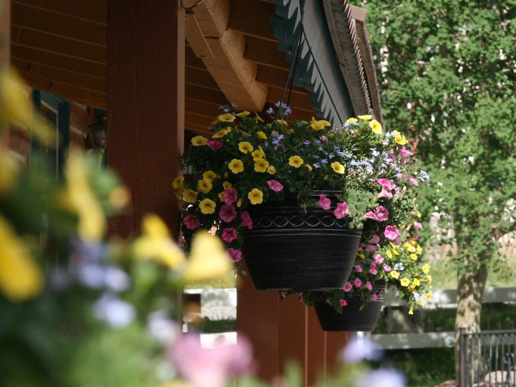 Ouray Inn Luaran gambar
